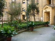the courtyard